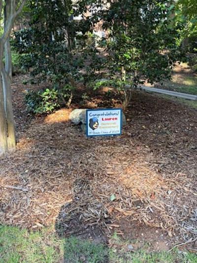 Yard Signs Photo